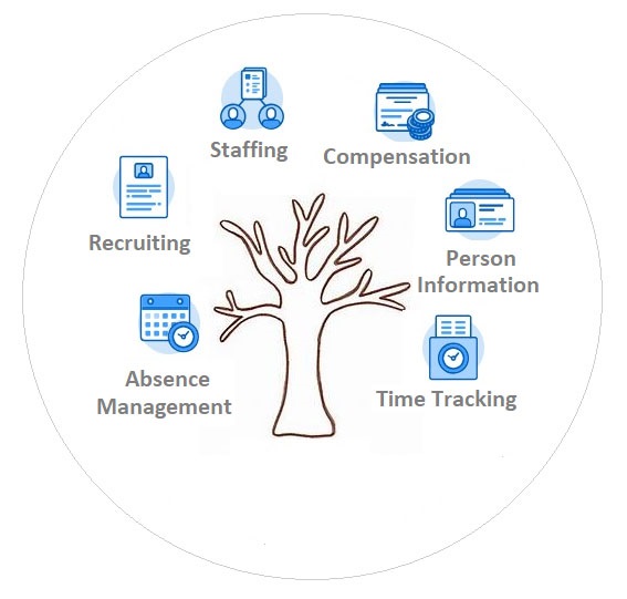 Workday HCM Training Modules